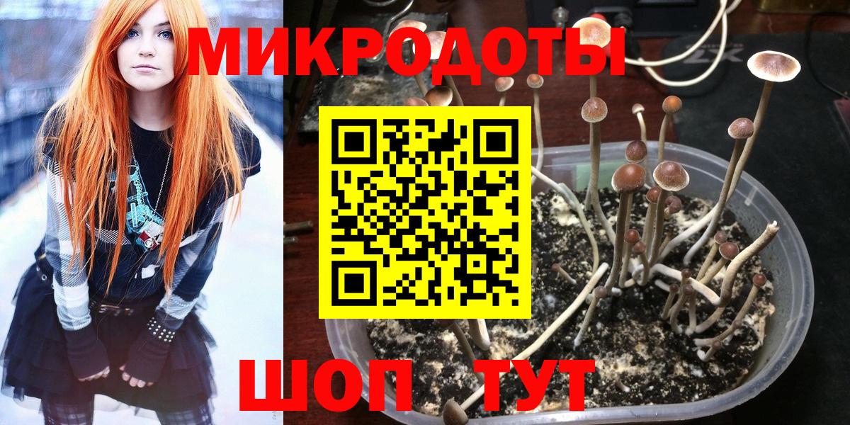 Псилоцибиновые грибы GOLDEN TEACHER Зеленогорск