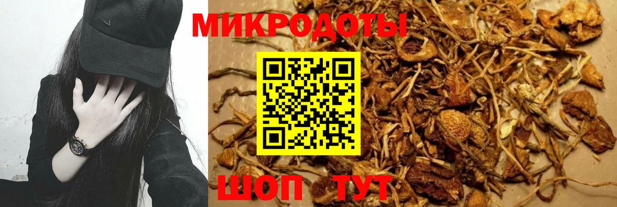 Псилоцибиновые грибы Psilocybine cubensis  Вход с VPN  Зеленогорск 